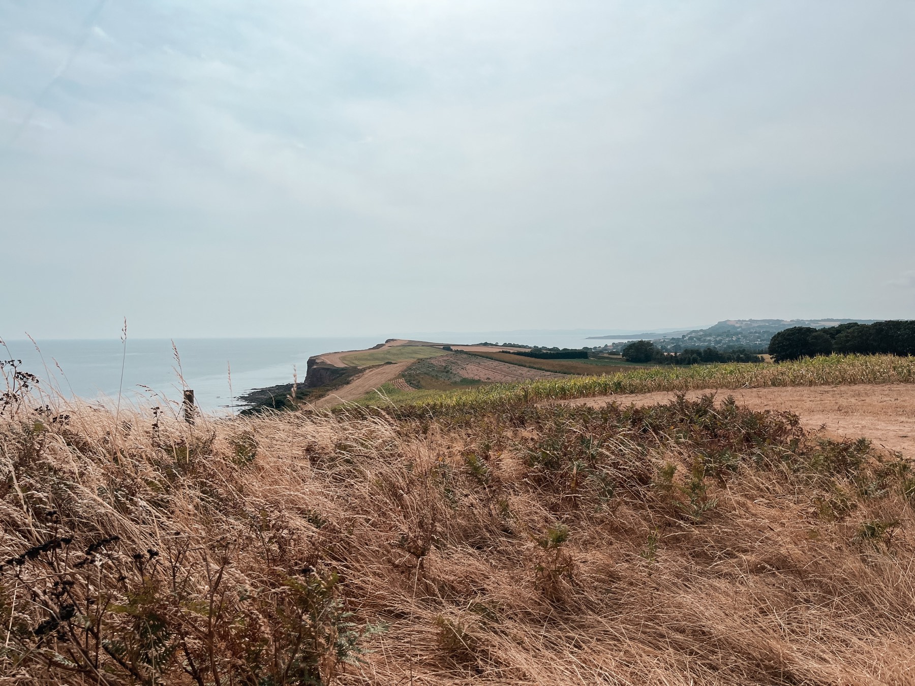 A cave in the red sandstone cliffs, visible from the coast path