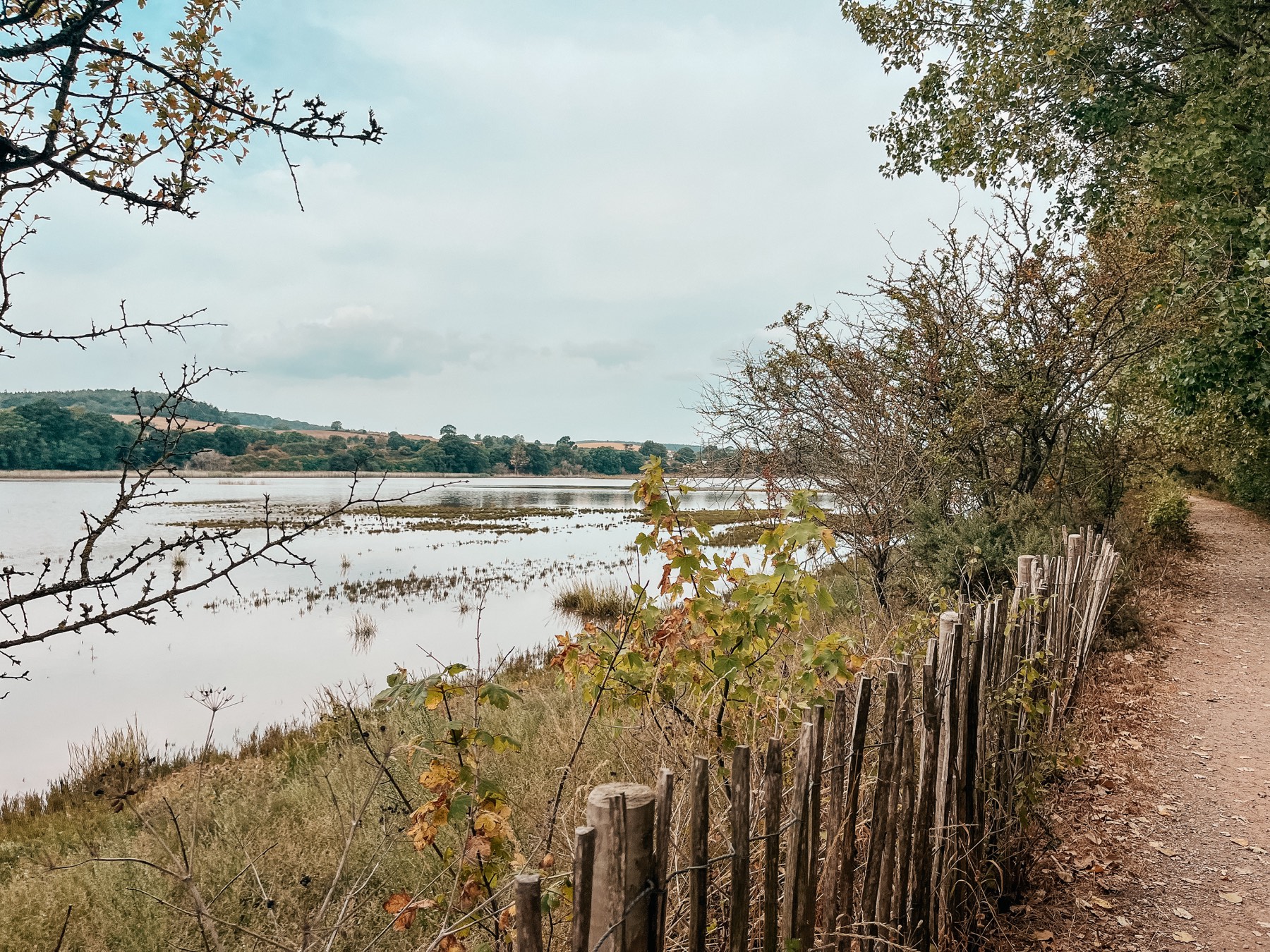 The Otter Estuary path near Lime Kiln car park, Budleigh Salterton
