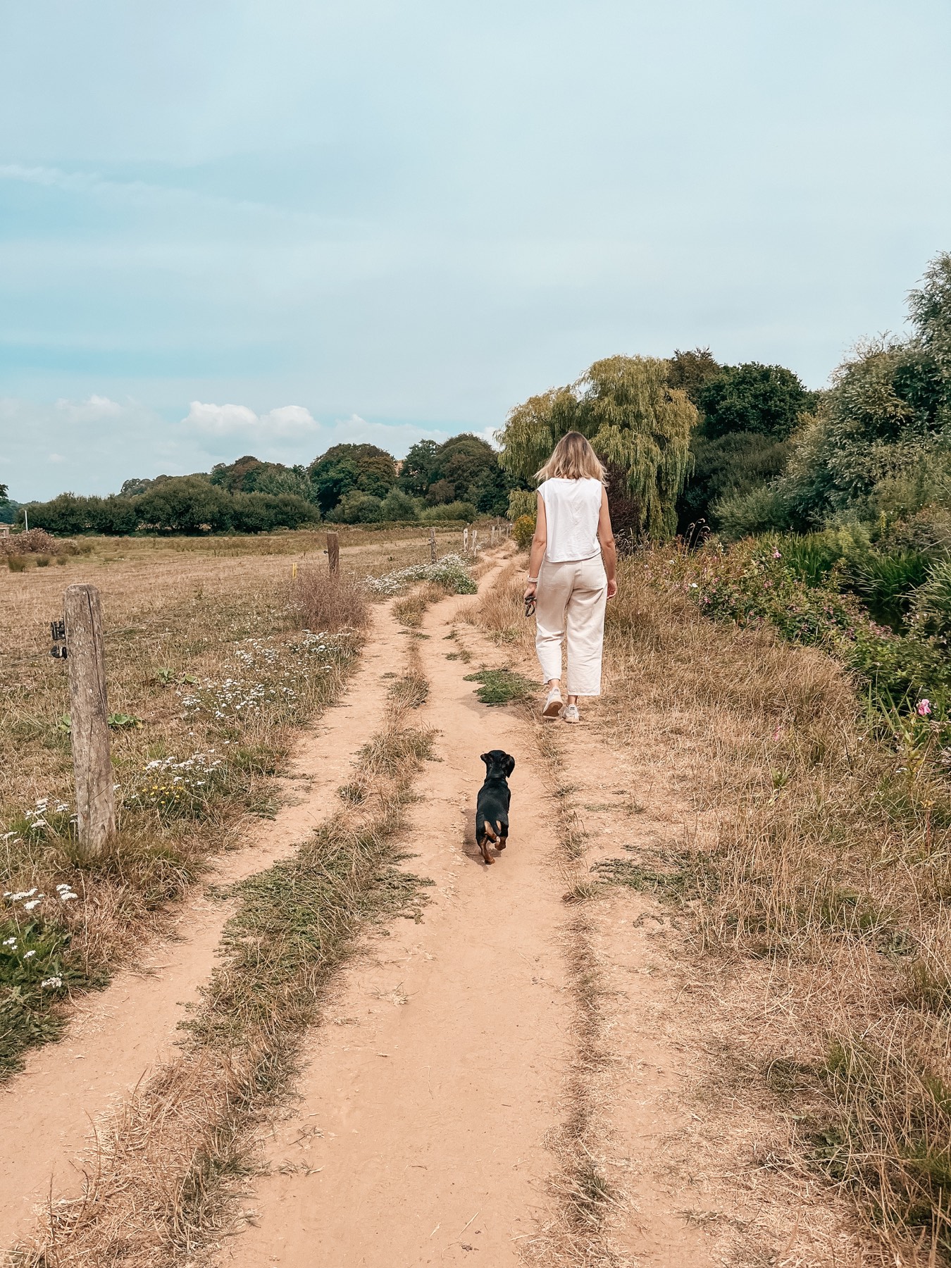 Walking a willow-lined track on the approach to Otterton Mill