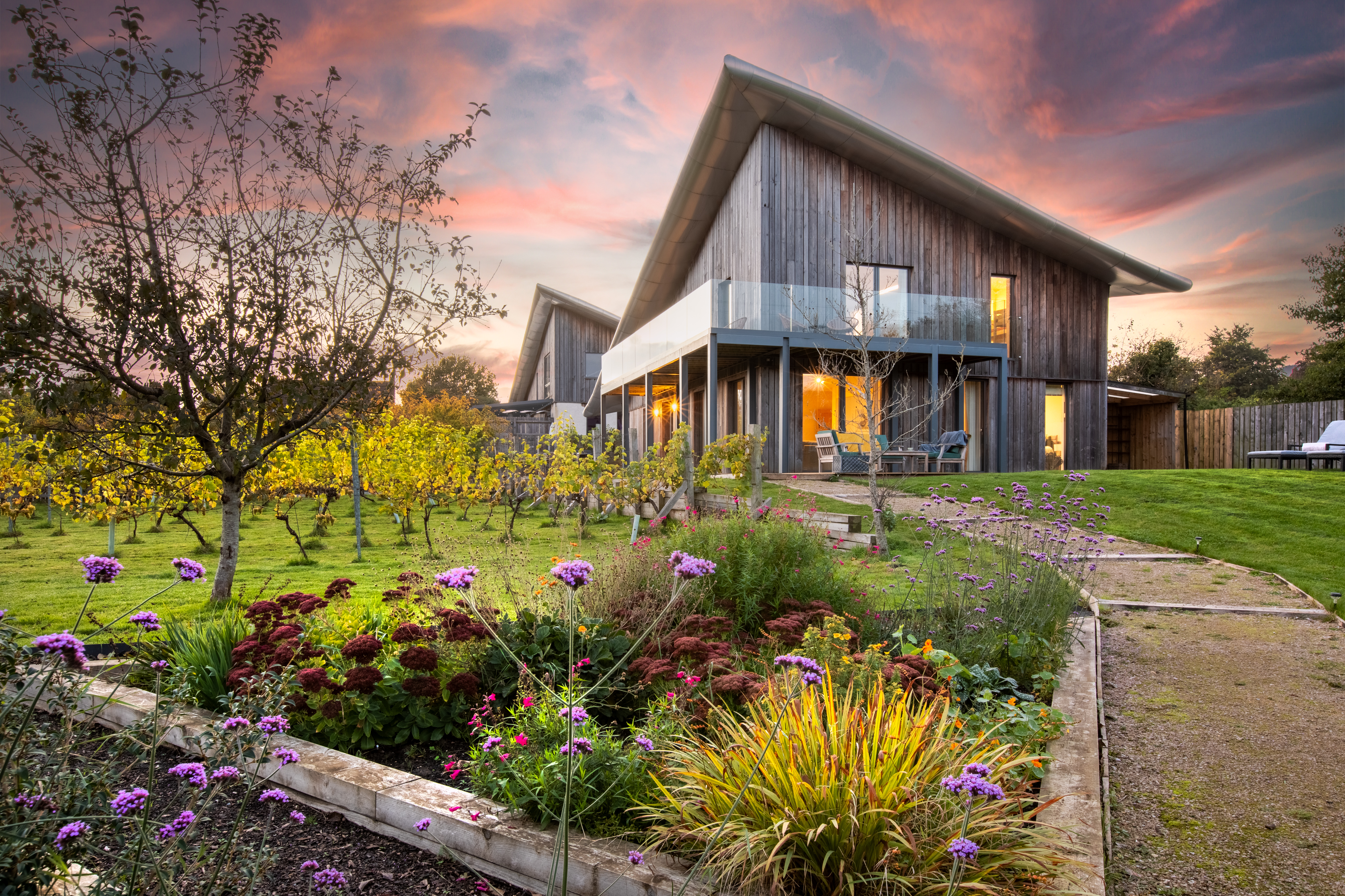 Devon estate parkland — dog friendly days out guide