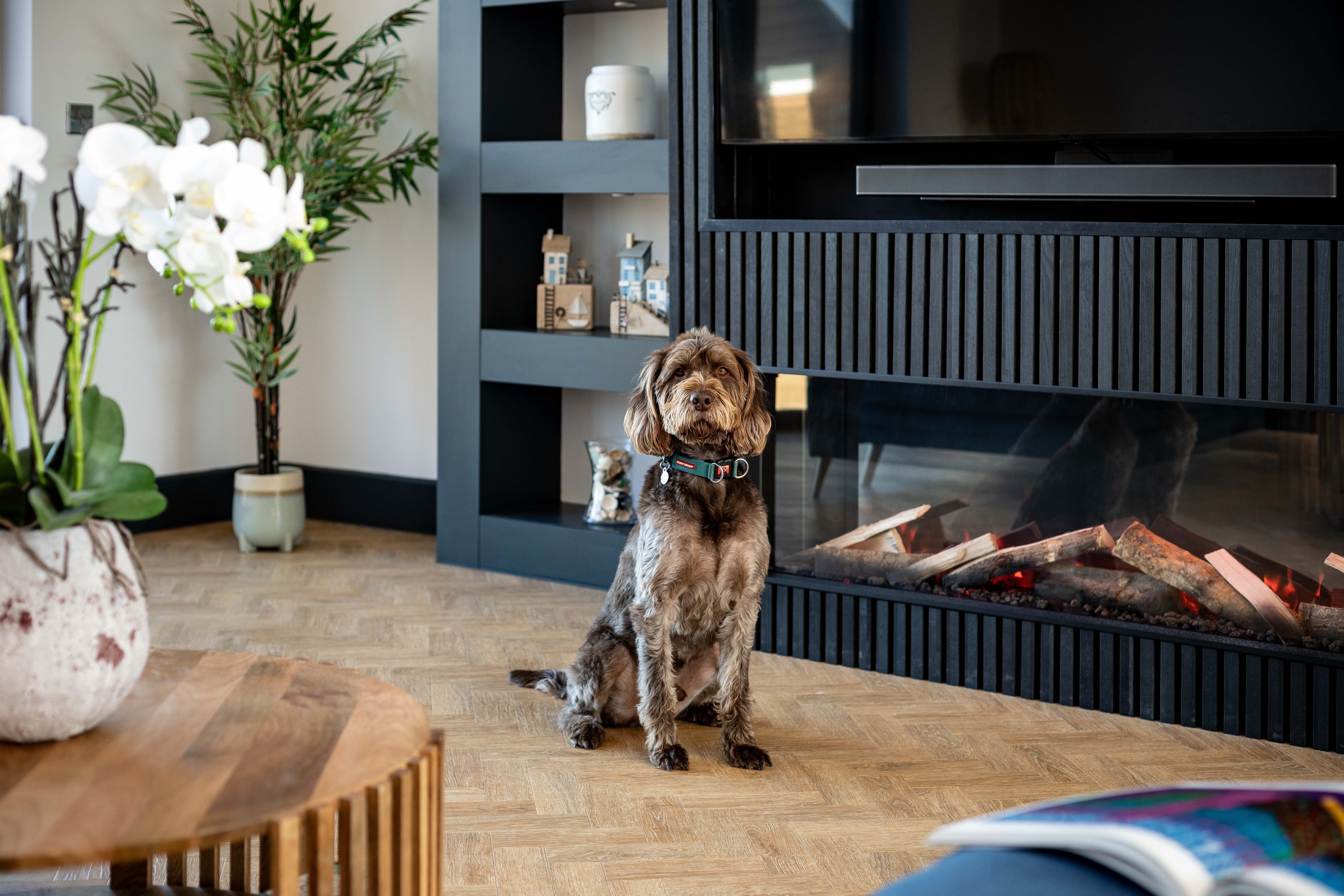The Estuary House dog-friendly holiday cottage, Instow Devon