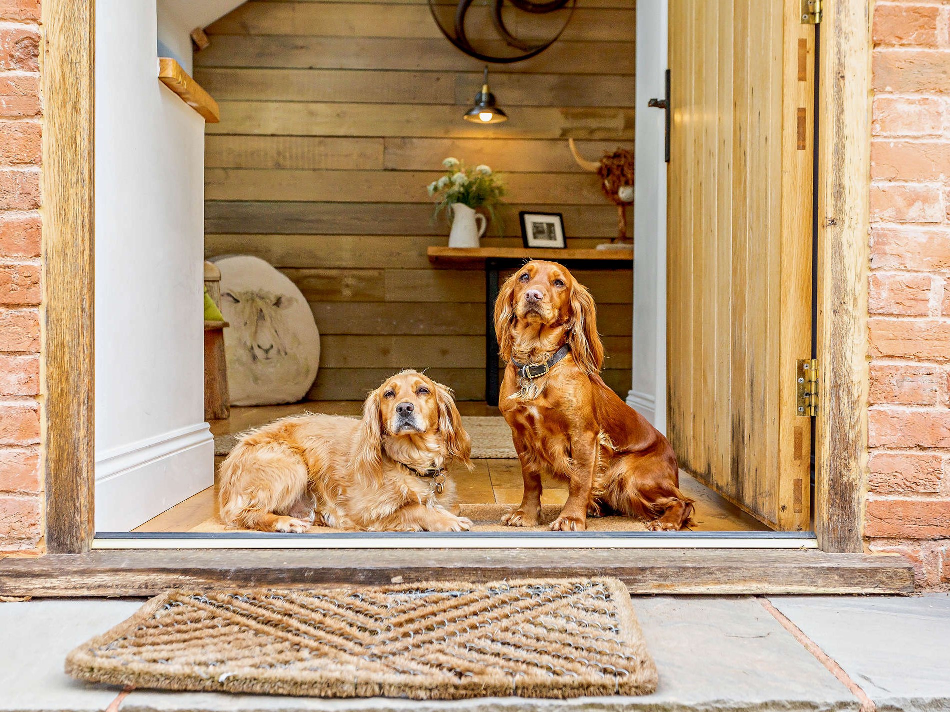 The Payhembury Farmhouse dog-friendly barn conversion, Payhembury Devon