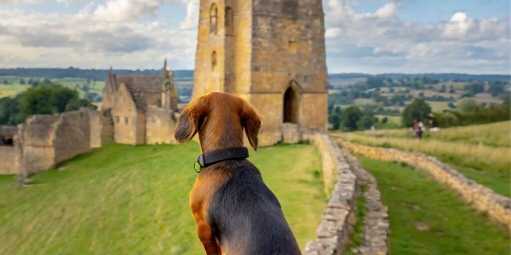 Luxury Dog Friendly Holiday in the Cotswolds