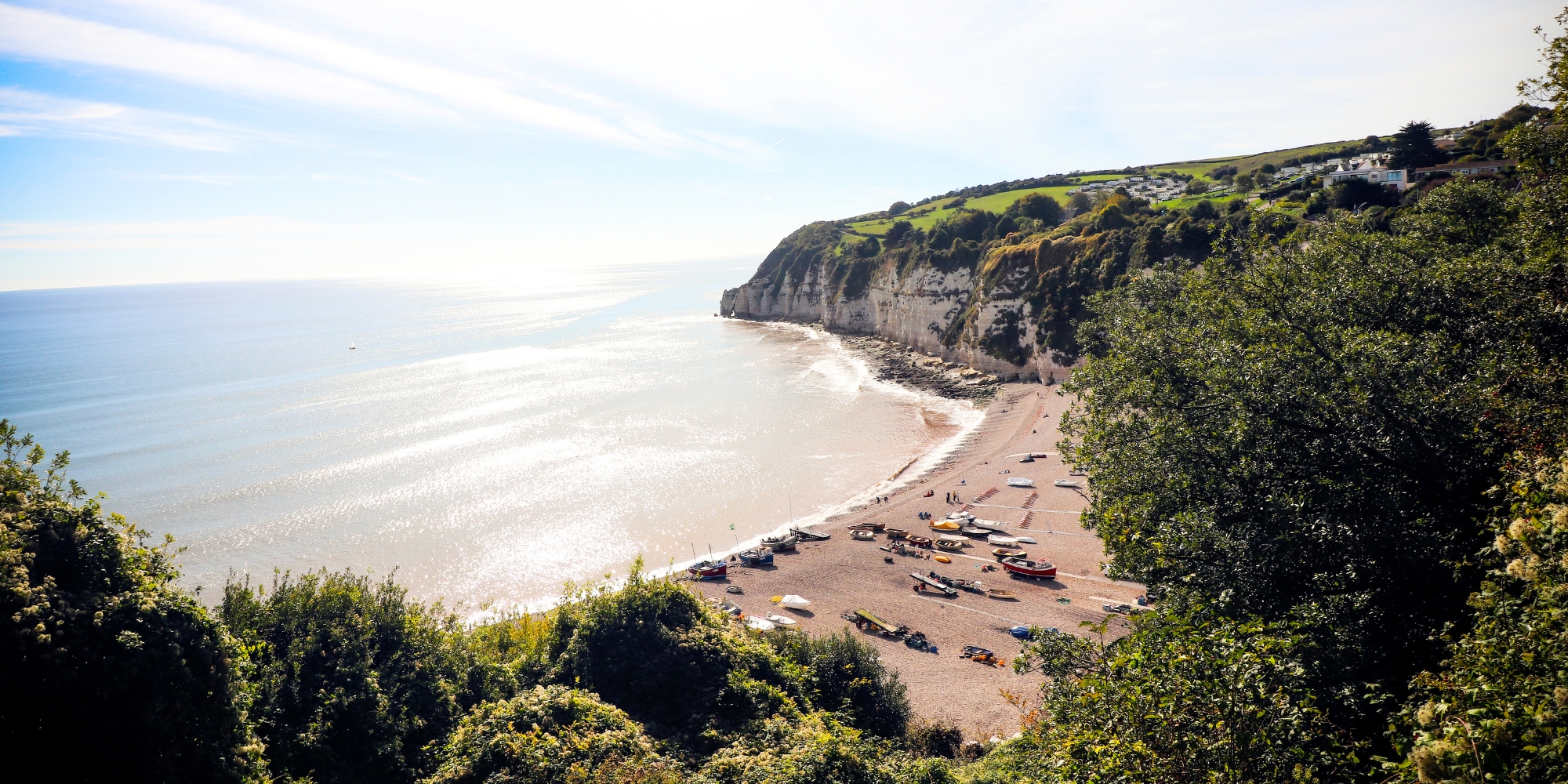 Dog friendly beach in Beer, Devon