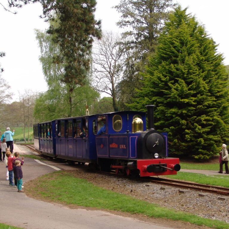 Dog Friendly Bicton Park Devon
