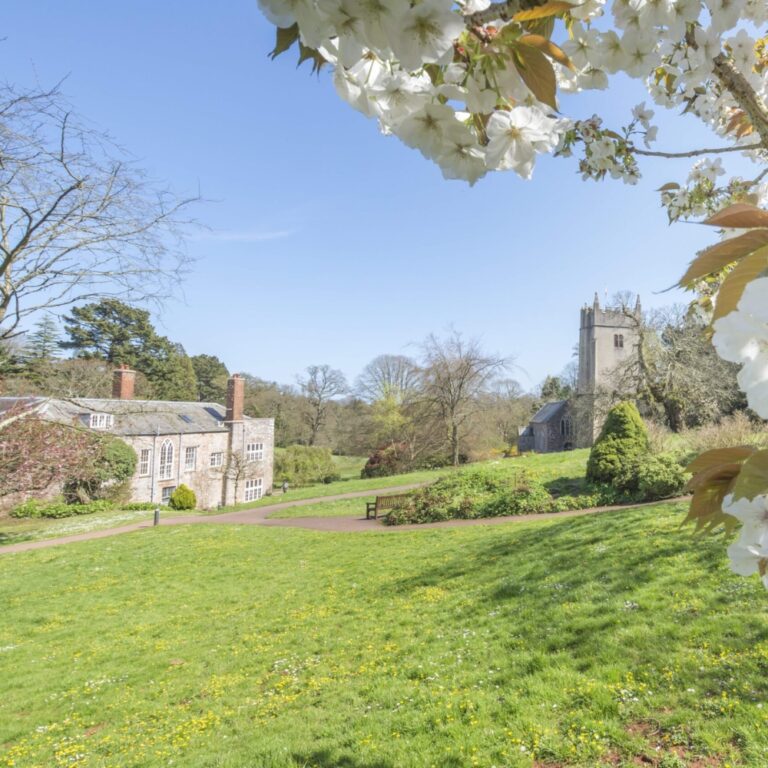 Dog Friendly Days Out Devon, Cockington court