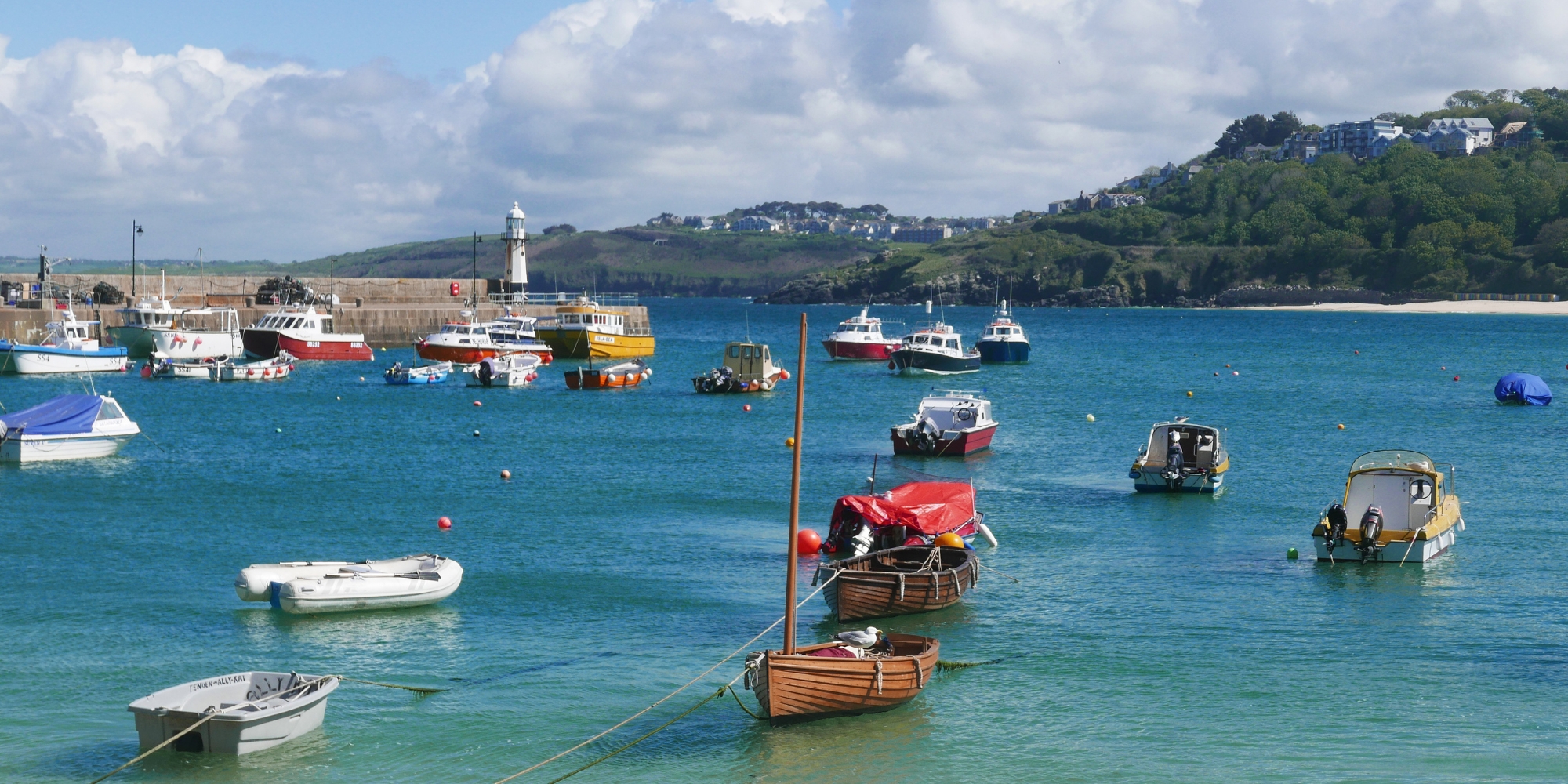 Dog Friendly Holidays Porthleven