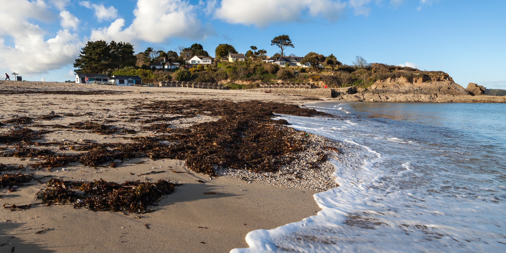 Dog Friendly Holidays Falmouth