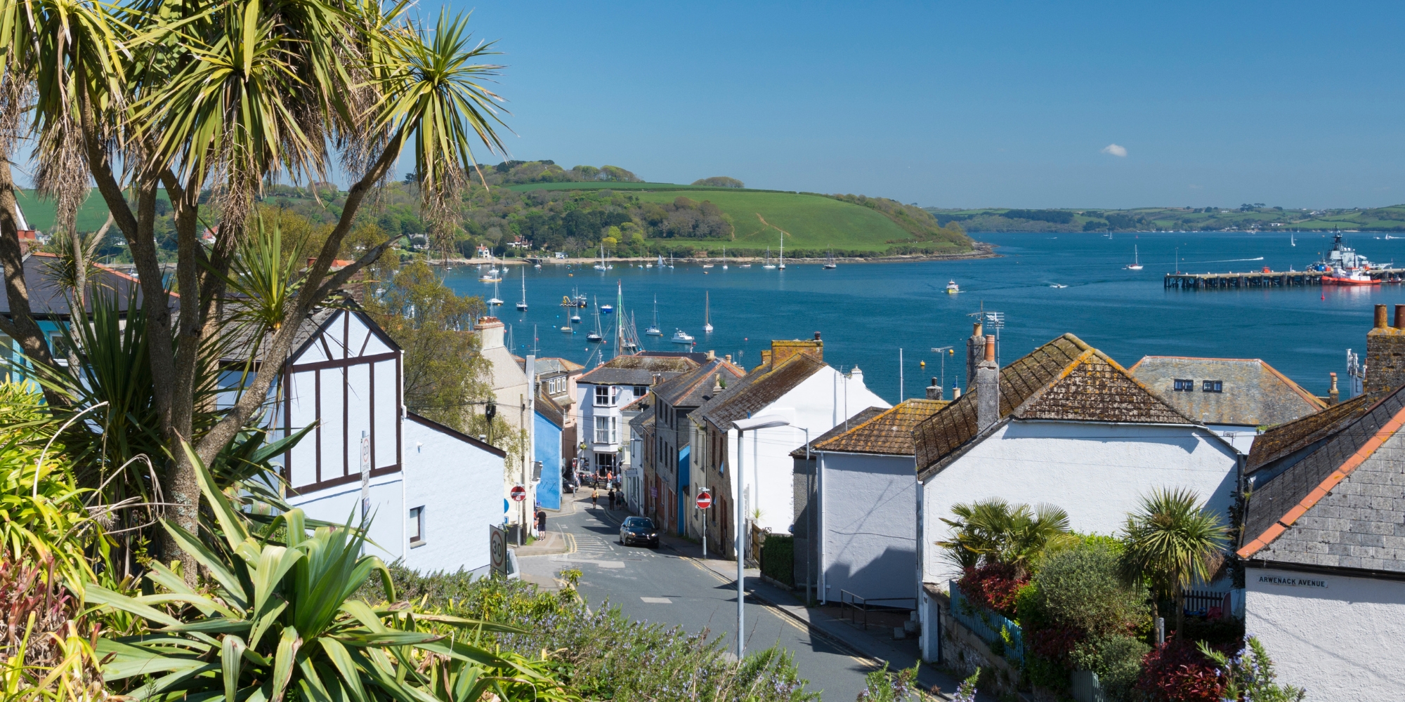 Dog Friendly Holidays Falmouth